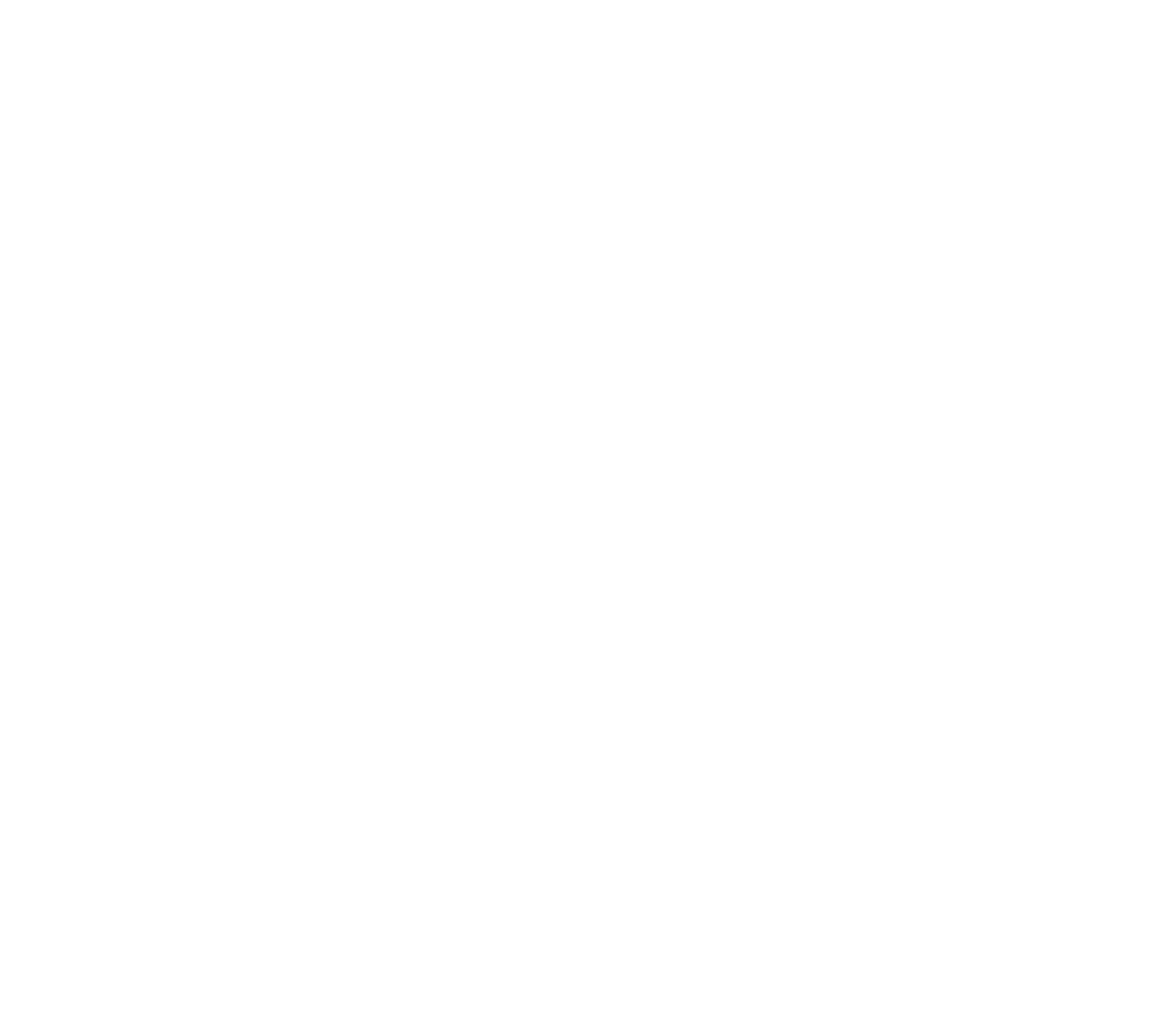 DM Consulting Logo